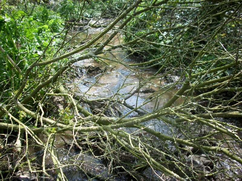 Au niveau de Kerzollo.