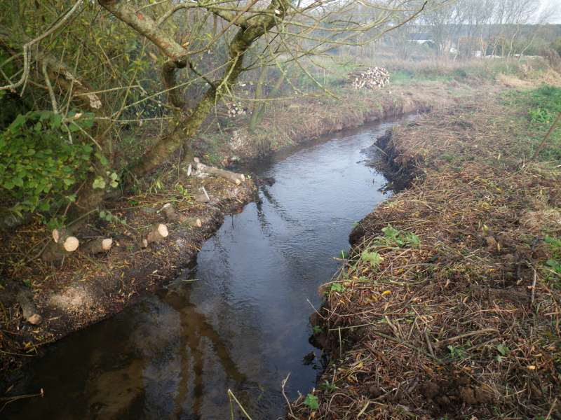 En amont de l'Ildut, la confluence.
