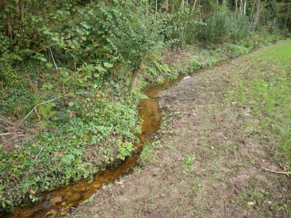 vue sur la nouvelle rivi�re.