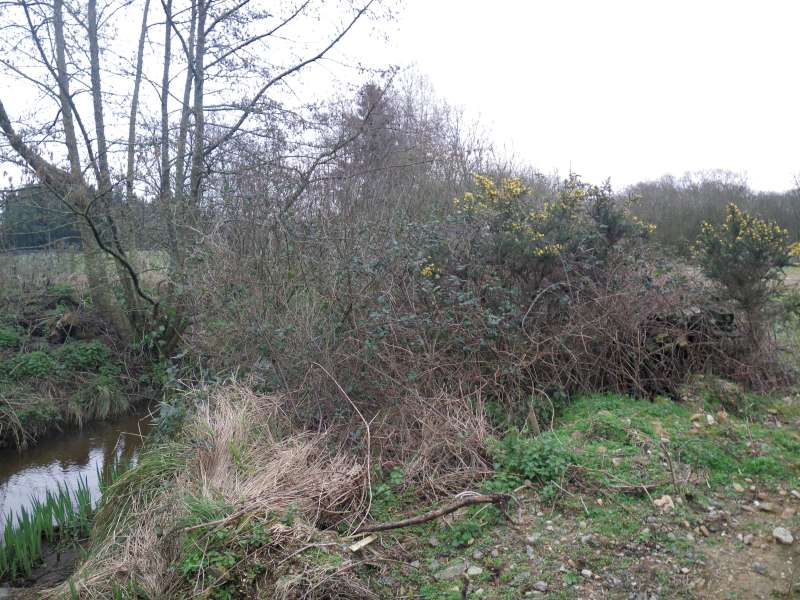 D�but de chantier.