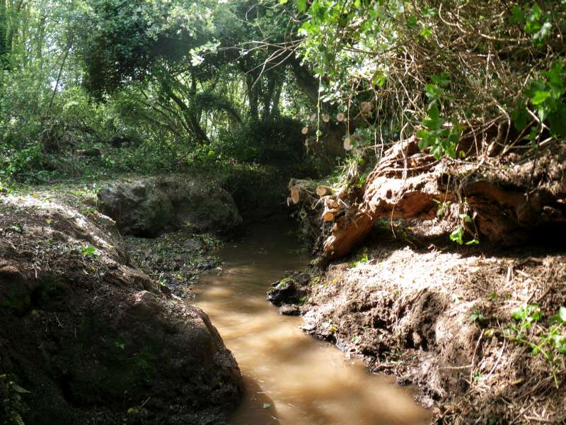 Apr�s d�blayage.