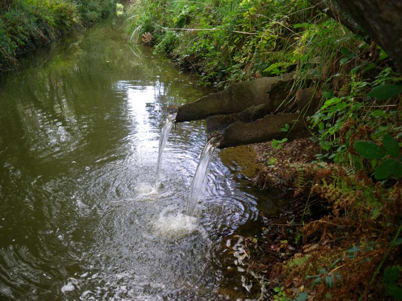 vue sur les vielles buses.