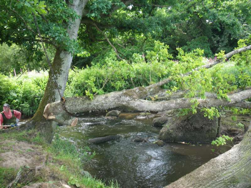 D�but enl�vement.