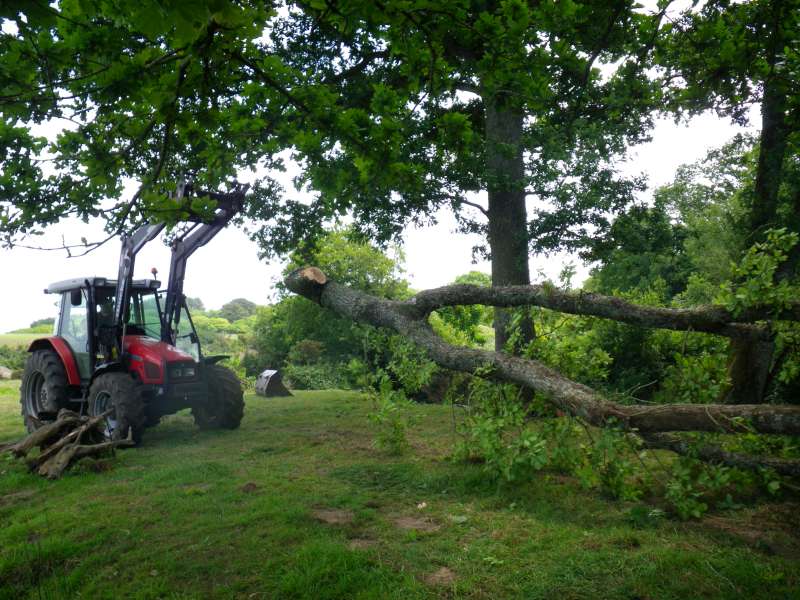 le tracteur en action.