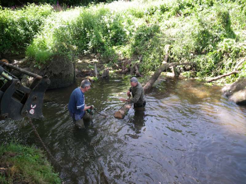 La derni�re branche.