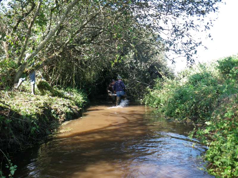 En amont de Poulinoc.