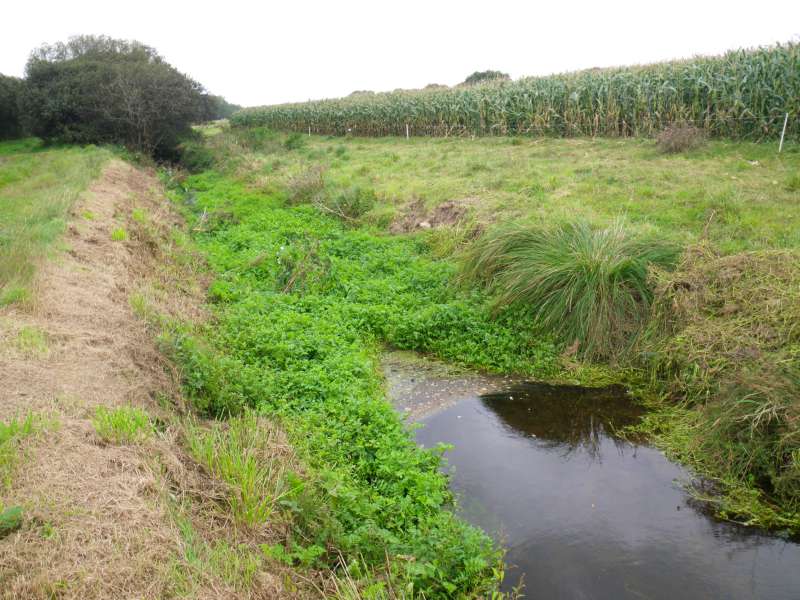 Au niveau de Tourous.