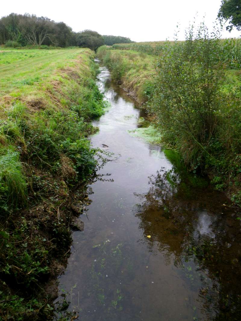 Apr�s le passage des b�n�voles.