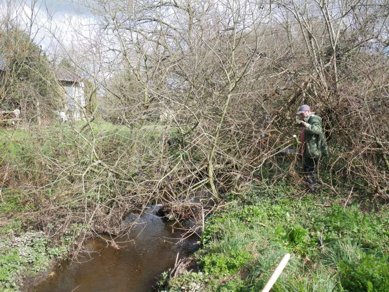 D�but du chantier en bas de la rivi�re.