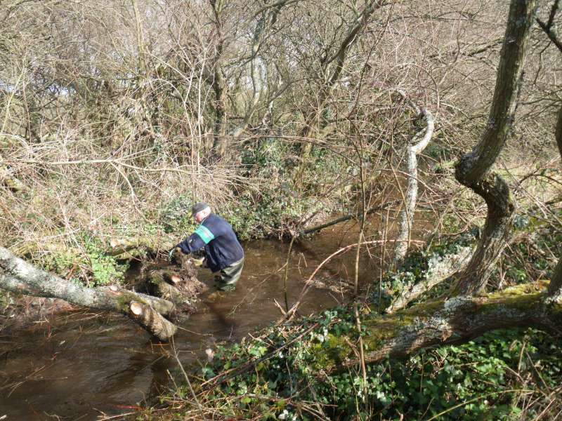 De bien beaux obstacles.