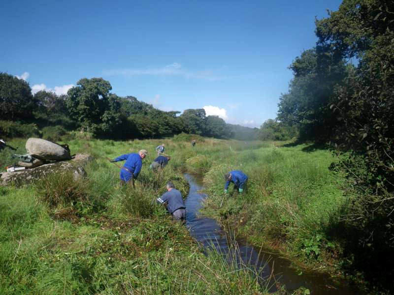 En haut du ruisseau dans la prairie.