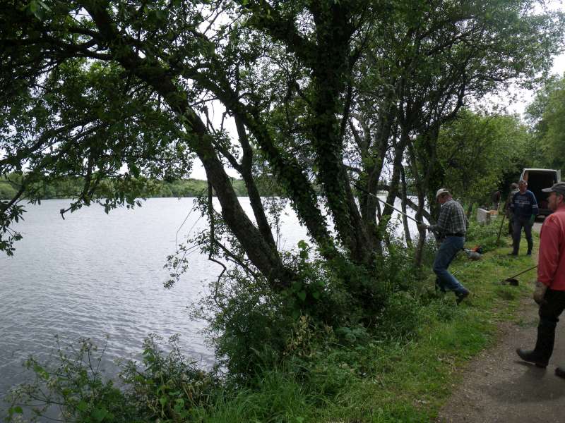 Quelques branches � couper.