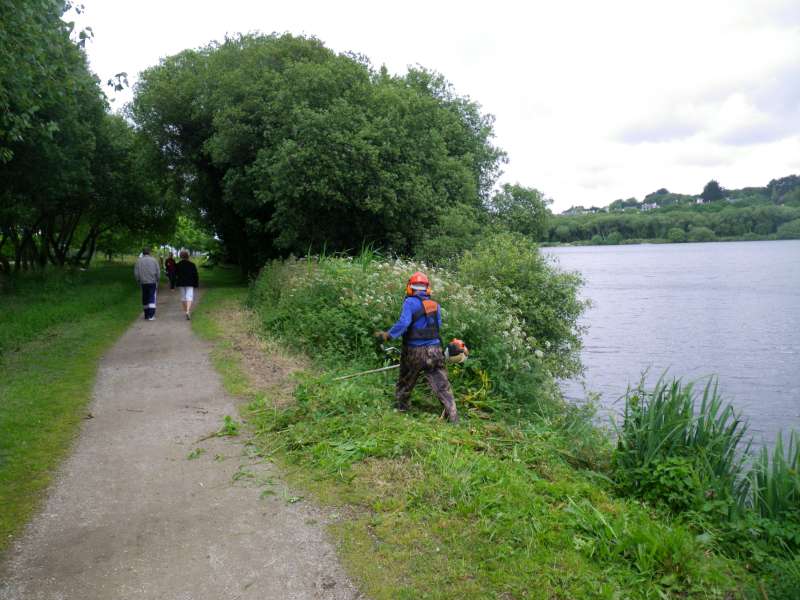 Un peu de d�broussaillage.