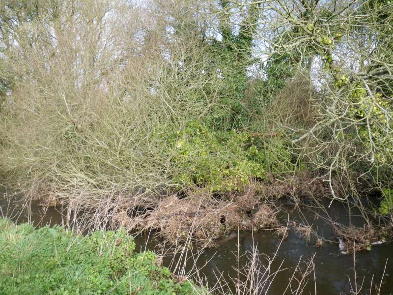 de nombreux arbres sont tomb�s.