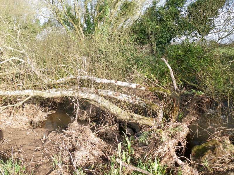 Et la bouche presque totalement.