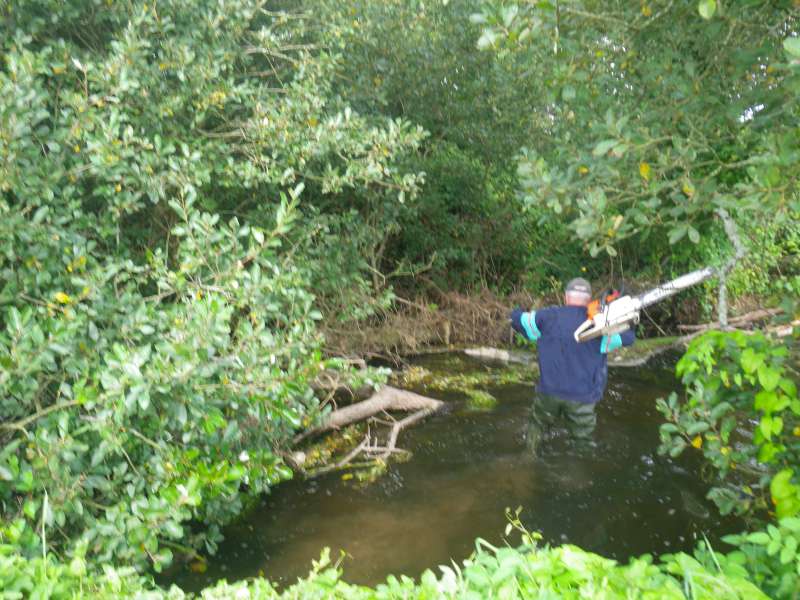 Et c'est parti avec Michel volontaire.