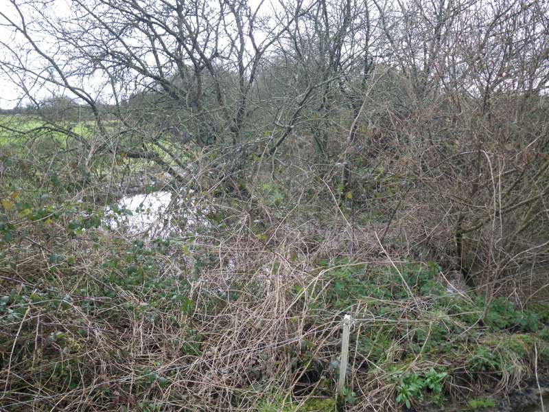 En aval de Pont du Chateau.