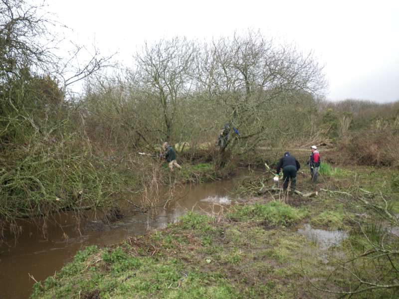 apr�s le passage de la d�broussailleuse.