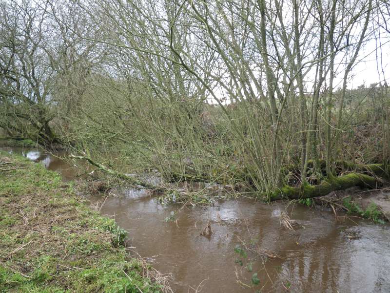 c'est tout bouch�.