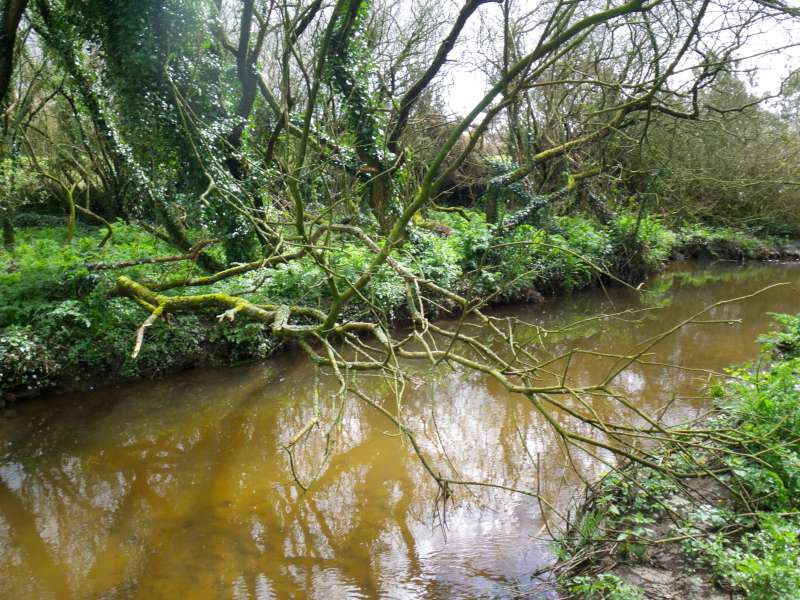 Des branches bien basses.