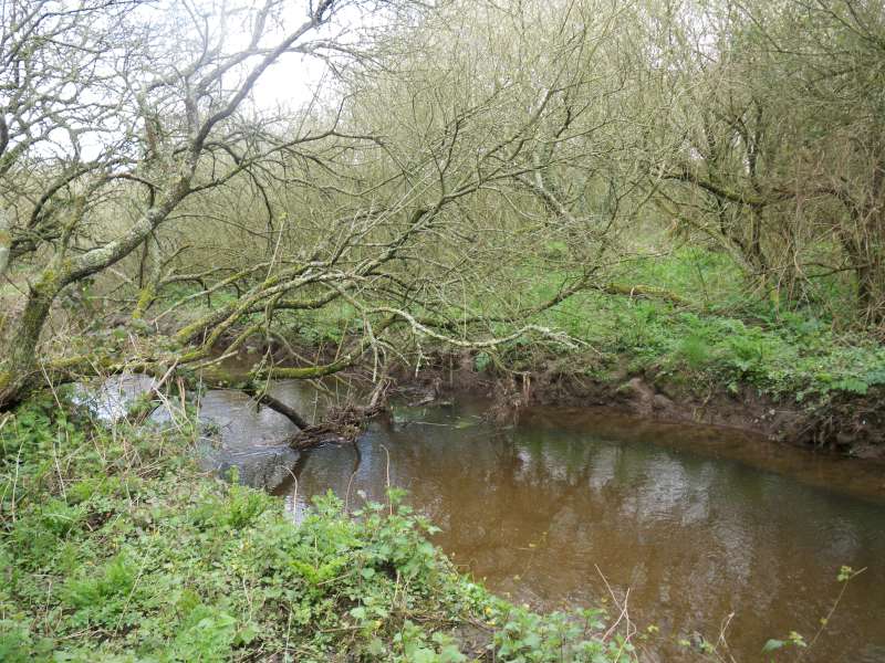 un d�but de bouchon a enlever.