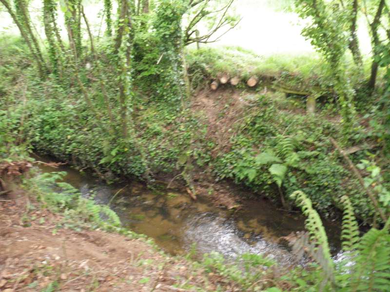 La rivi�re sans le pont.