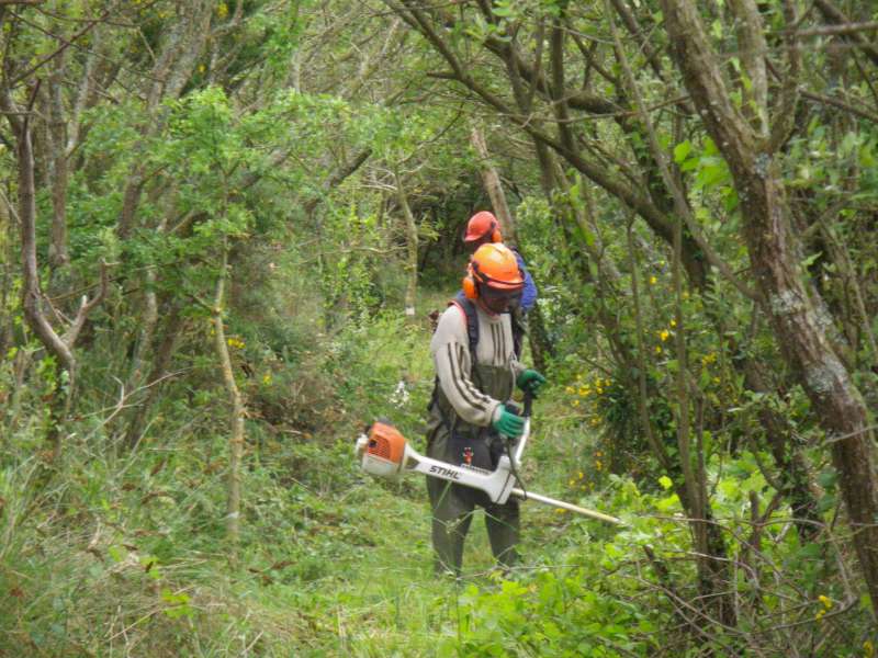 D�broussaillage de la digue.