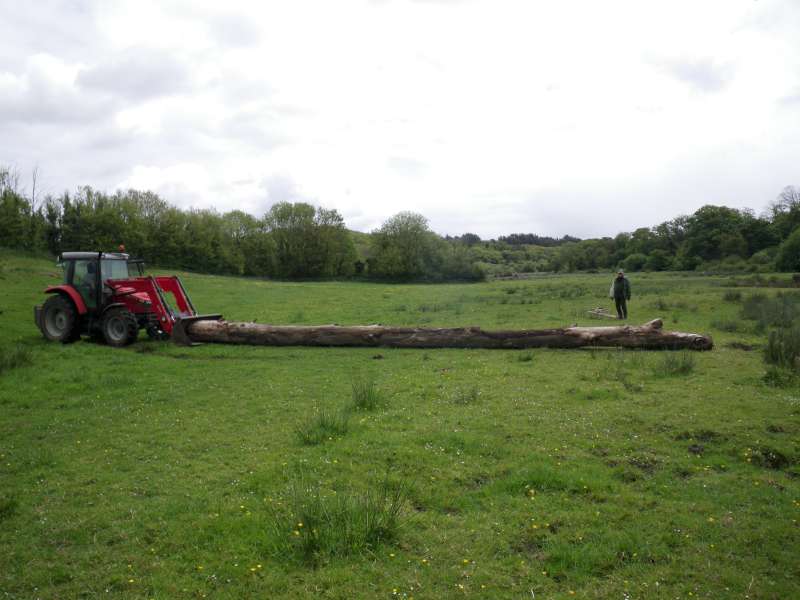 et on pousse bien droit.