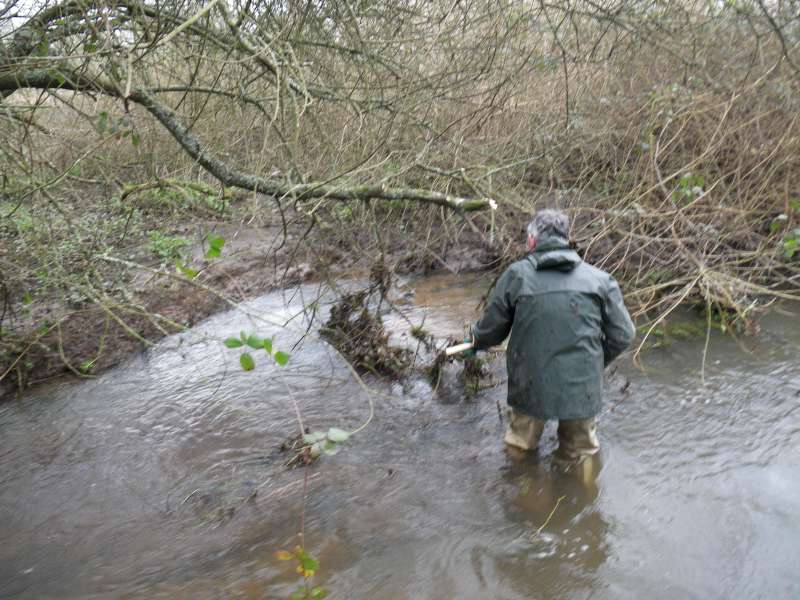 D�but sous un ciel maussade.