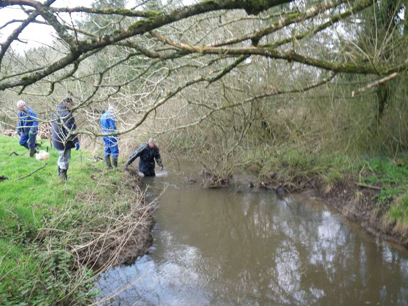 un bouchon de feuilles et de branches.