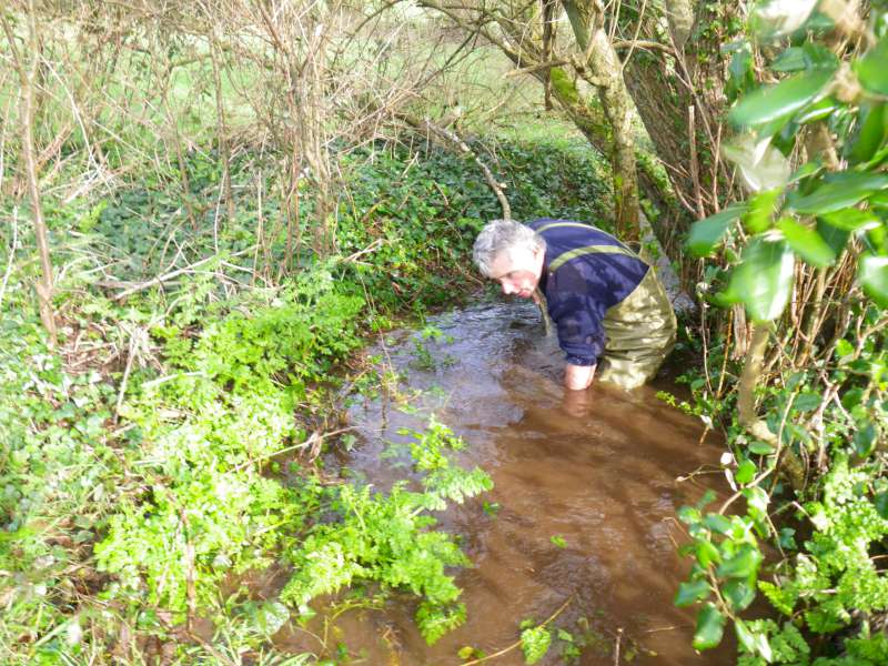 Ruisseau de Kergroas.