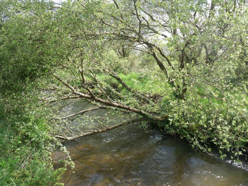 En aval de chez Madoc.