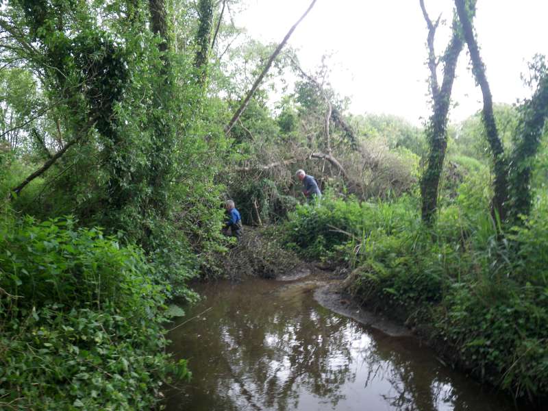 Pontavennec : Rivi�re bouch�e.