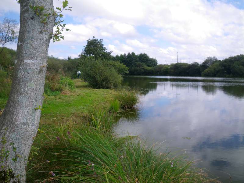 Reprise en douceur � La Laverie.
