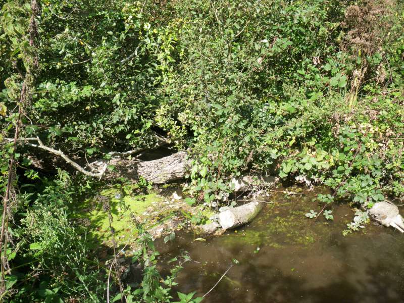 La rivi�re le long de Ty Colo.