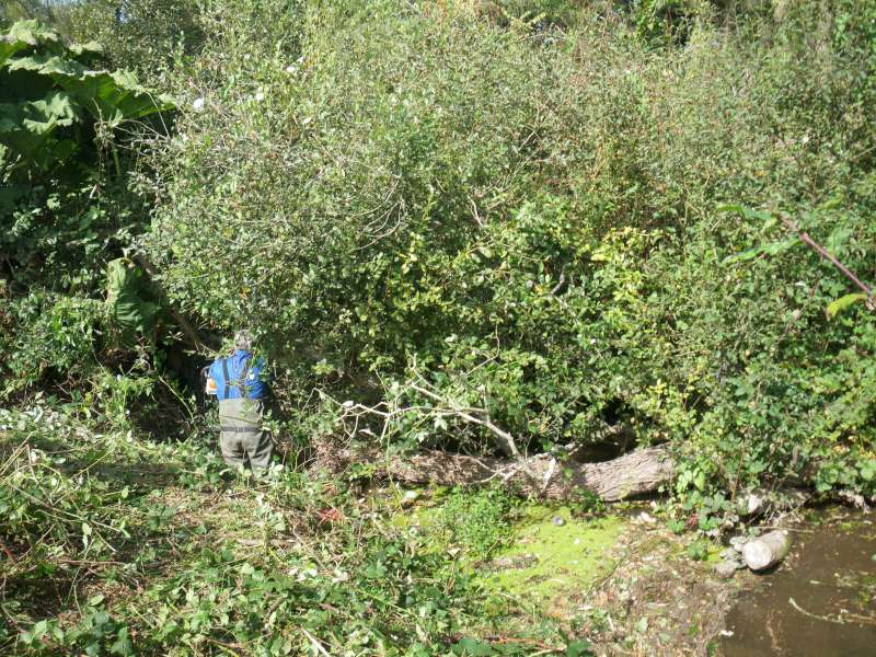 C'est un peu bouch�.