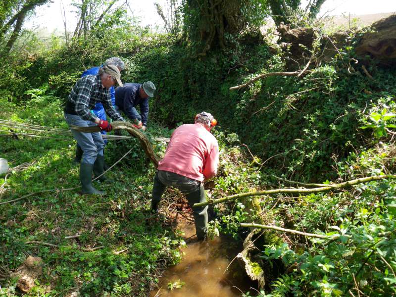 ruisseau en aval de la pisciculture