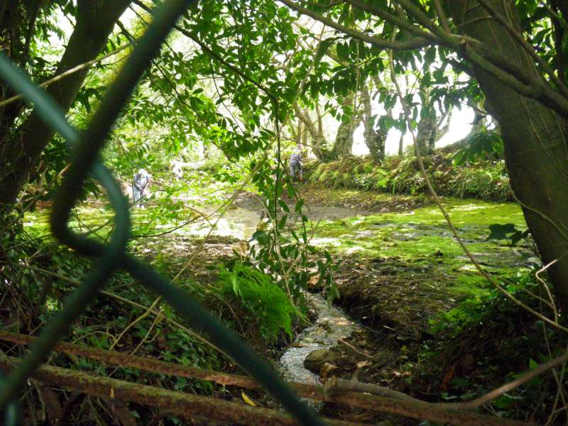 vidange de la pisciculture