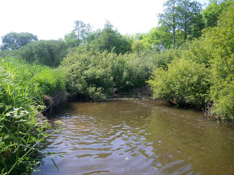 toute la rivi�re est bouch�e