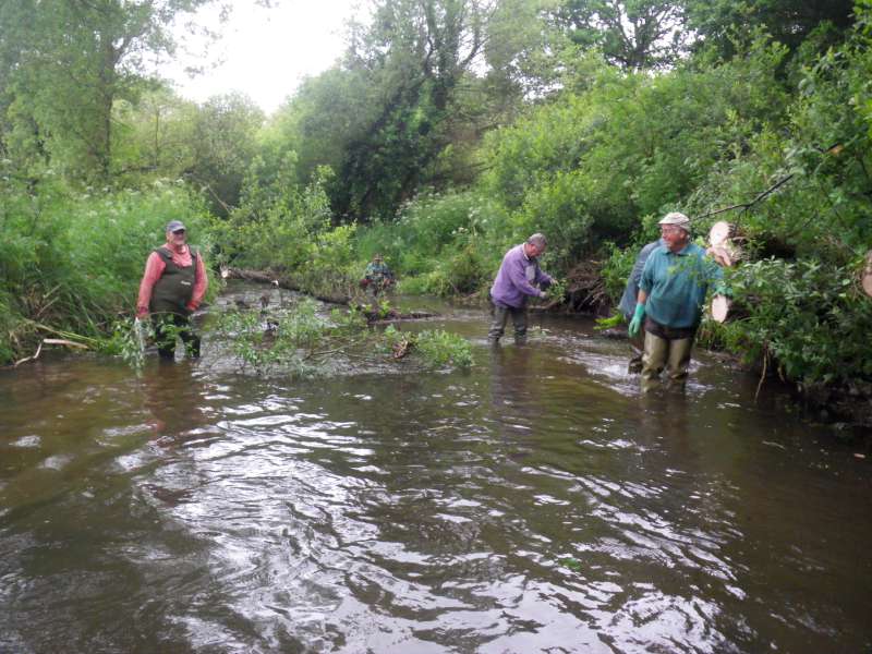 dans la bonne humeur