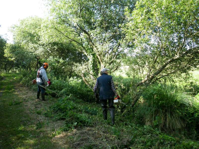 entretien des berges