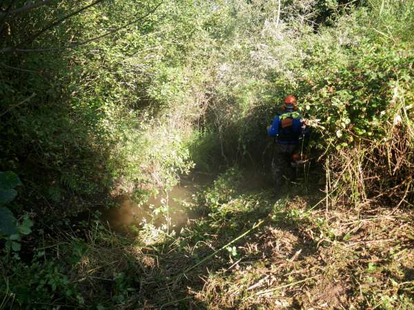 rivi�re sous les ronces