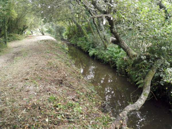 gros nettoyage �ffectu�