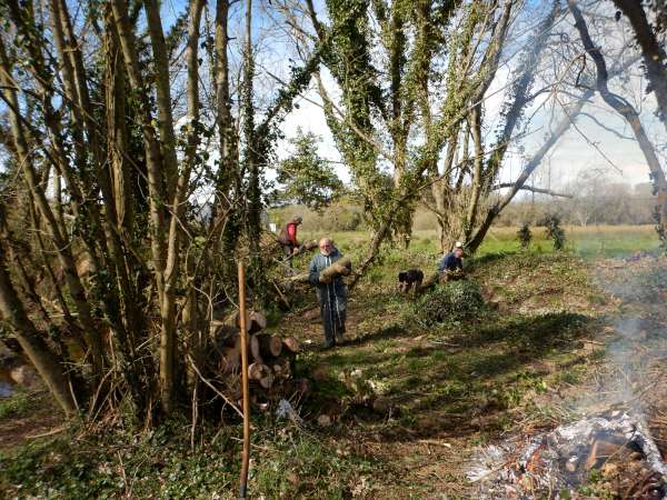 L'union fait la force