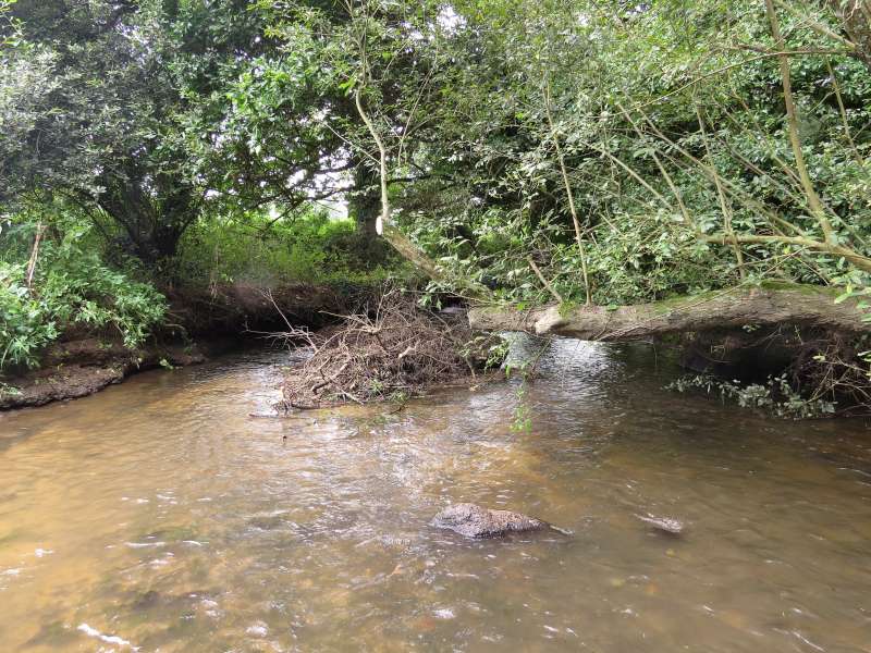 Qui imaginerait qu'il y a un rocher ici?