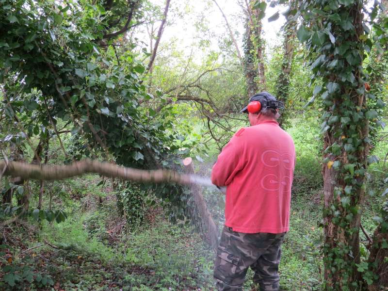 Le Pr�sident et la tron�onneuse