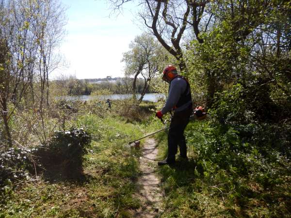 Alain et la d�brousailleuse.