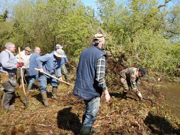 Les renforts ne manquent pas pour enlever les bois morts de l'eau.