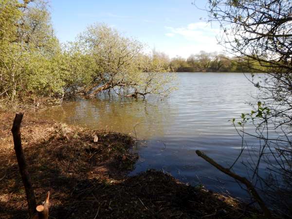 Le poste est pr�t pour l'ouverture du brochet...