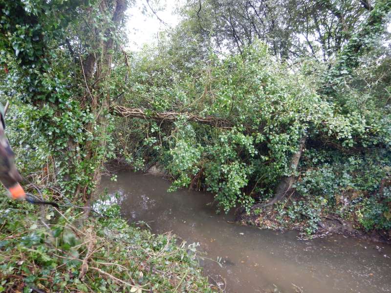 Ca y est, on apper�oit la rivi�re...